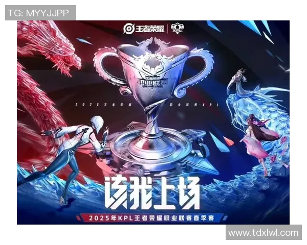 探寻王者荣耀中JDG战队的团队协作与默契之道